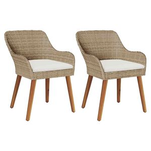 vidaXL Tuinstoel 2 st Beige poly rattan