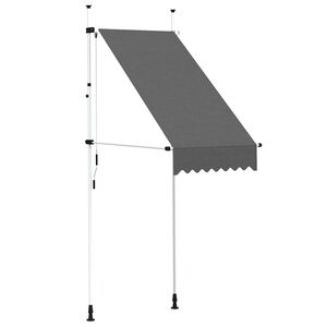 vidaXL Luifel handmatig uittrekbaar 100 cm antraciet