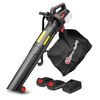 ELEM Garden Technic Bladblazer/-zuiger 3-in-1 oplaadbaar 2x20 V