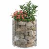 vidaXL Gabion paal rond Ø50x50 cm gegalvaniseerd staal