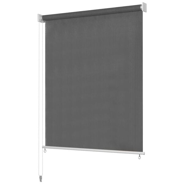 vidaXL Rolgordijn voor buiten 240x230 cm antraciet