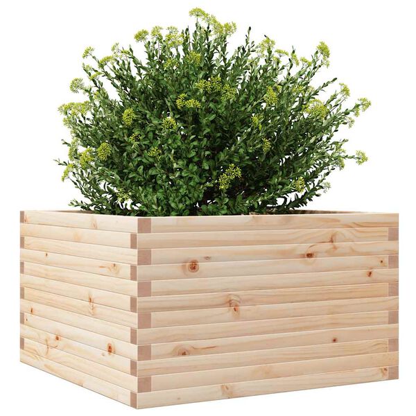 vidaXL Plantenbak 80x80x46 cm massief grenenhout
