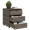 vidaXL Tuinkast 55x59x69 cm poly rattan grijs