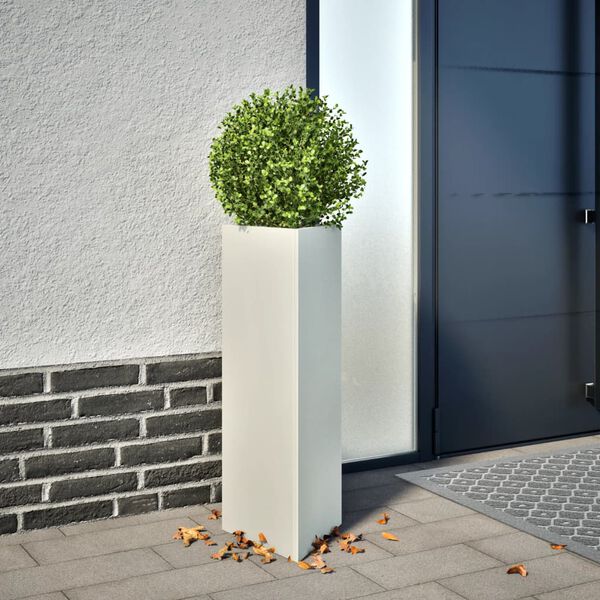 Productafbeelding 2 van 12