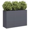 Miniatuurafbeelding van het product 2 van 9