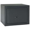 vidaXL Kluisdoos met slot Donkergrijs 23 x 17 x 17 cm Staal