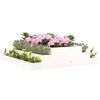 Miniatuurafbeelding van het product 3 van 7