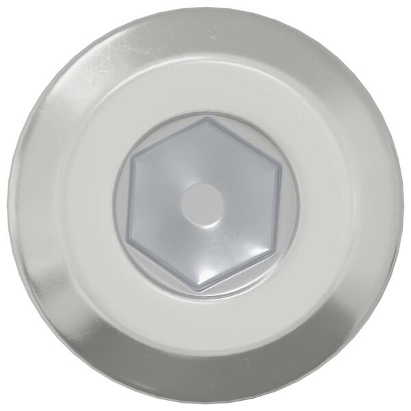 vidaXL Vergrendelingsschroef 2 pcs Zilver M6 x 15 mm Staal