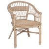 vidaXL Stapelstoel Naturel 60 x 60 x 81 cm Rattan