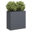 vidaXL Plantenbak 80x40x80 cm koudgewalst staal antracietkleurig