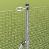 Miniatuurafbeelding van het product 4 van 15