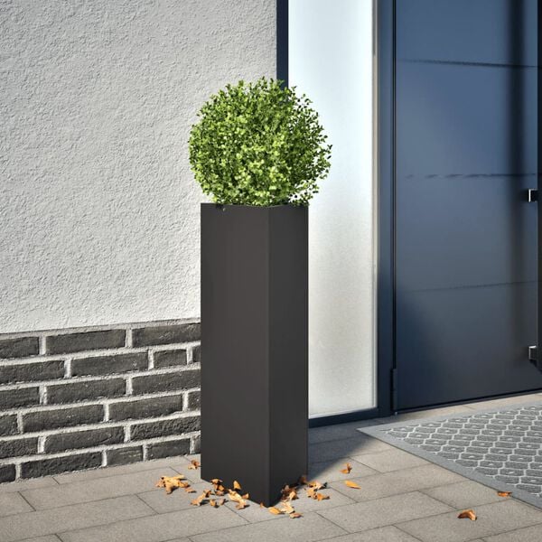 Productafbeelding 2 van 10