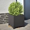 Miniatuurafbeelding van het product 2 van 10