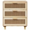 vidaXL Dressoir 60x30x70 cm massief grenenhout en rattan bruin