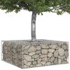 vidaXL Gabion Verhoogd Bed Zilver 100 x 100 x 40 cm