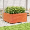vidaXL Plantenbak 100x100x49,5 cm massief grenenhout wasbruin