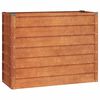 vidaXL Plantenbak verhoogd 100x40x77 cm cortenstaal roestig