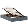 vidaXL Opslag bed met matras Donkergrijs 120 x 190 cm Fluweel
