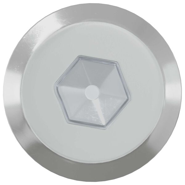 vidaXL Meubelschroeven 2 pcs Zilver M6 x 60 mm Staal