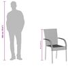 vidaXL Tuinstoelen stapelbaar 2 st poly rattan bruin