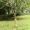 Miniatuurafbeelding van het product 2 van 7