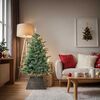 vidaXL Kerstboomkraag Zwart 60 x 60 x 28 cm Waterhyacint