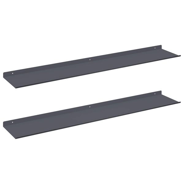 vidaXL Drijvende plank 2 pcs Antraciet 100 x 18 x 2,5 cm Staal