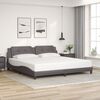 vidaXL Bedframe met LED zonder matras "Zadar" grijs 200x200 cm