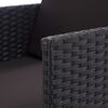 vidaXL 17-delige Tuinset met kussens poly rattan zwart