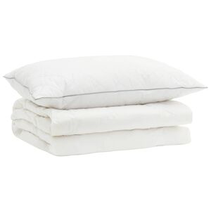 vidaXL 90% ganzen dons dekbedset FULDA 2 st 140 x 200 cm Zomer 100 GSM