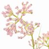 Miniatuurafbeelding van het product 2 van 2