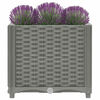 Miniatuurafbeelding van het product 7 van 9