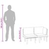 vidaXL 2-delige Loungeset met kussens massief acaciahout
