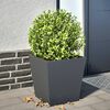vidaXL Plantenbak 40x40x40 cm staal antracietkleurig