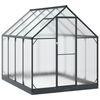 vidaXL Tuin Serre met de deur Antracietkleurig 183,5 x 243,5 x 207 cm