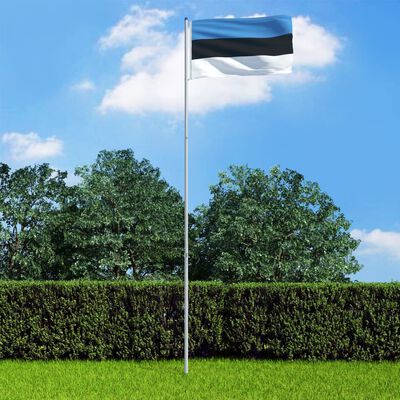 vidaXL Vlag met vlaggenmast Estland 6 m aluminium