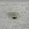 Miniatuurafbeelding van het product 9 van 12