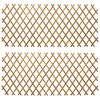 vidaXL Uitschuifbaar plantenrek 2 st 100 x 105 cm Bamboe Licht Bruin