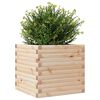 vidaXL Plantenbak 50x50x46 cm massief grenenhout