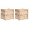 vidaXL Plantenbakken 2 st cm massief grenenhout