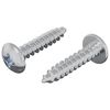 vidaXL Houten Schroeven 2 st zilver M4 x 20 mm Staal