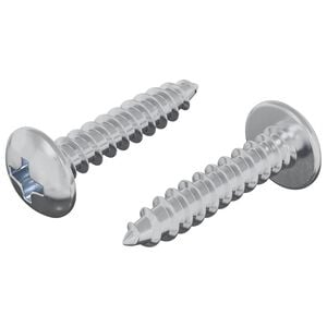 vidaXL Houten Schroeven 2 st zilver M4 x 20 mm Staal