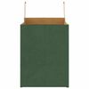 vidaXL Papieren zakken 50 st met hengsels 32x22x28 cm groen