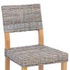 vidaXL Eetkamerstoel 2 pcs Kubu grijs 46 x 55 x 84 cm Kubu Rattan