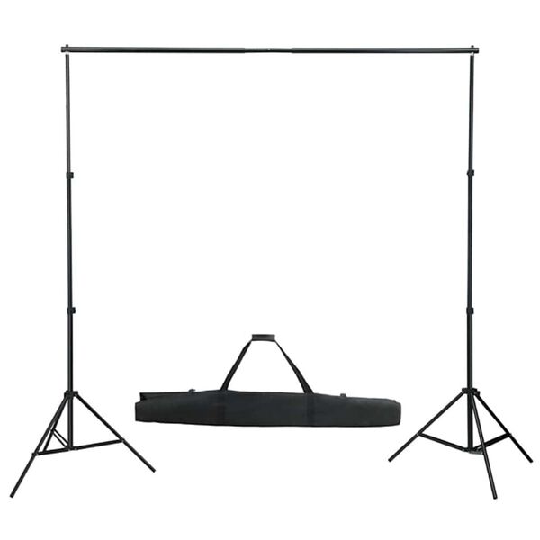 vidaXL Fotostudioset met verlichtingsset en achtergrond
