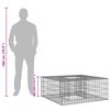 vidaXL Gabion Verhoogd Bed Zilver 100 x 100 x 40 cm