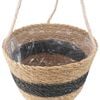 Miniatuurafbeelding van het product 6 van 8