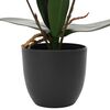 Miniatuurafbeelding van het product 2 van 4