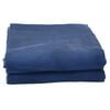 vidaXL Tenttapijt 4x2 m blauw
