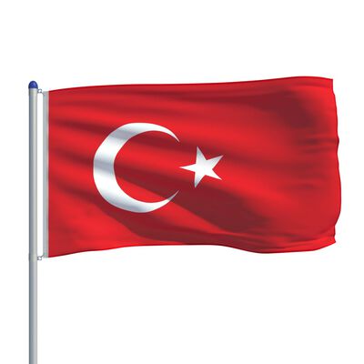 vidaXL Vlag met vlaggenmast Turkije 6 m aluminium